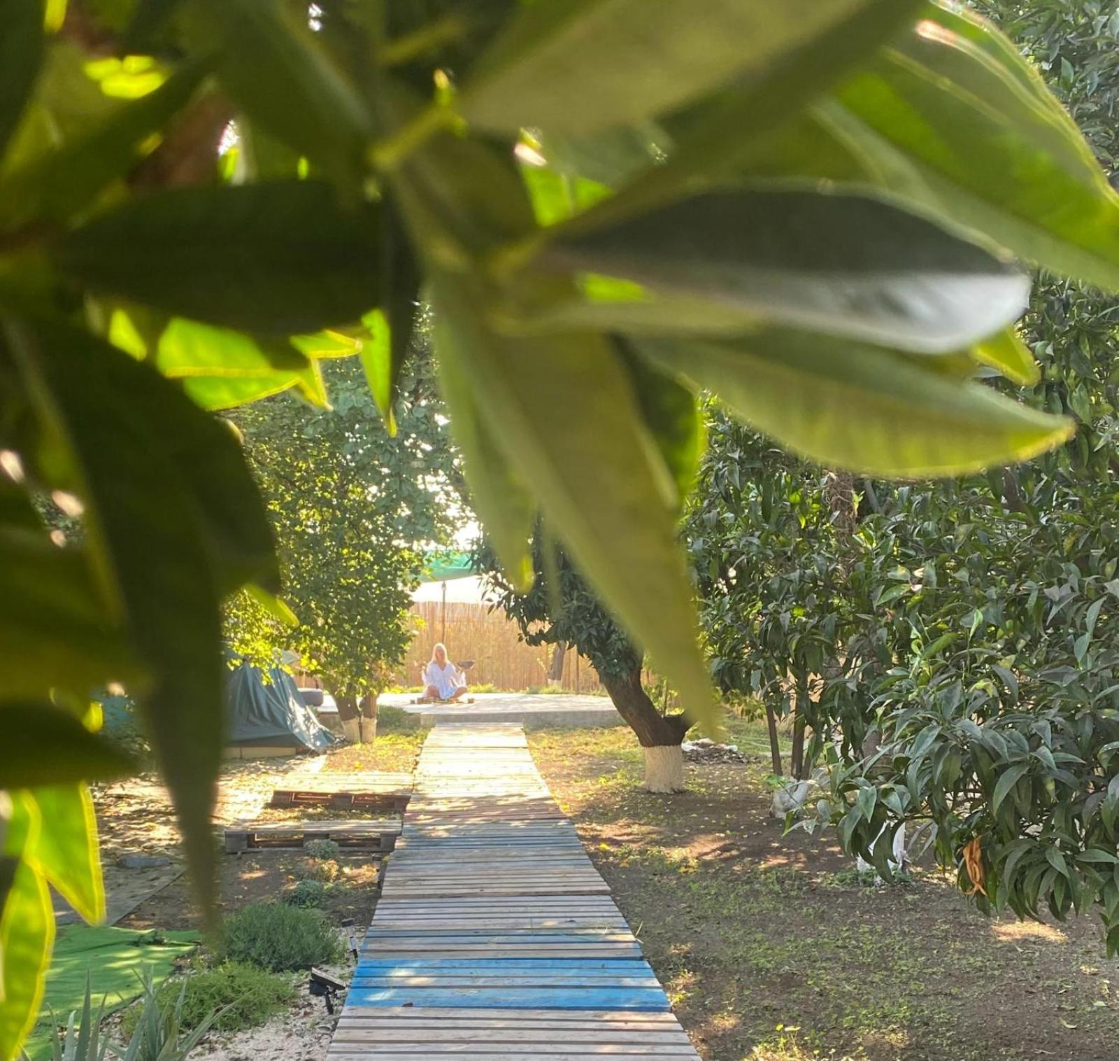 Pompei Villa Regina Boscoreale Εξωτερικό φωτογραφία